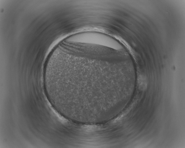 X0000084050894200703161854