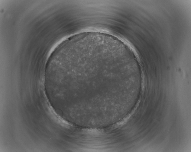 X0000084050896200703161854