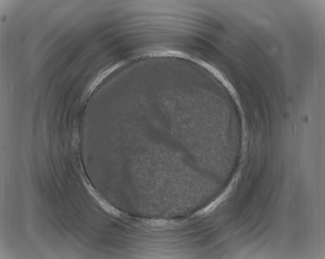 X0000084050897200703161854