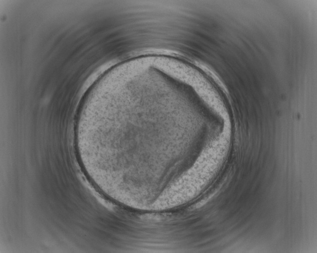 X0000084050898200703161854