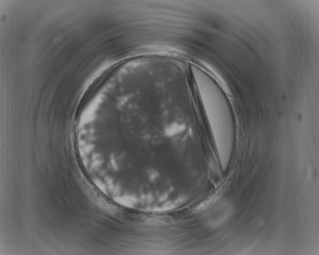 X0000084050899200703161854