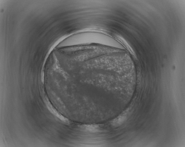 X0000084050900200703161854