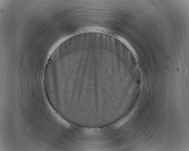 X0000084050901200703161854