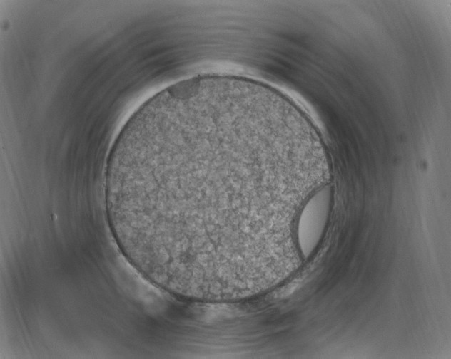 X0000084050903200703161854