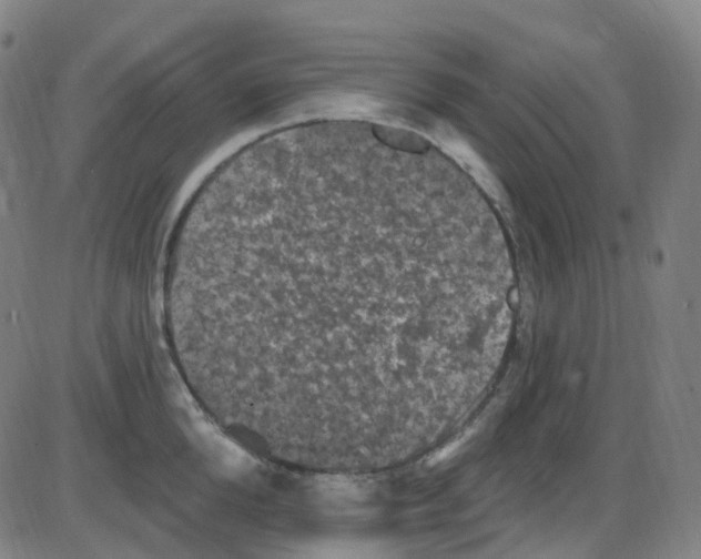 X0000084050904200703161854