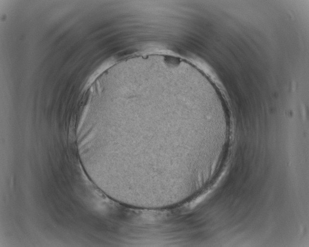 X0000084050905200703161854