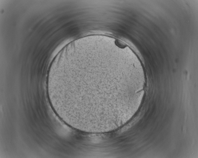 X0000084050906200703161854