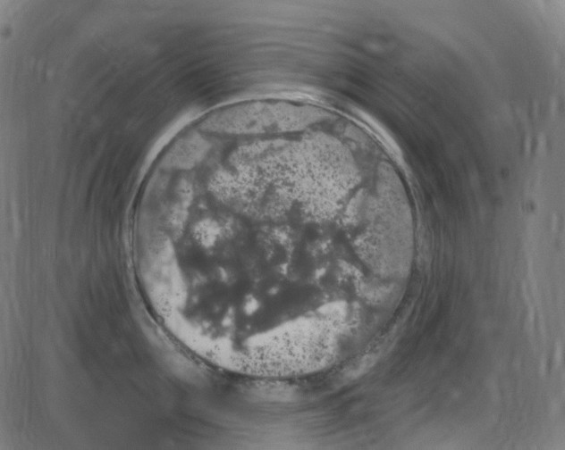 X0000084050907200703161853