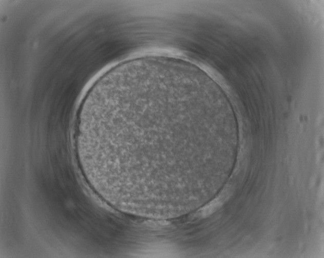 X0000084050912200703161853