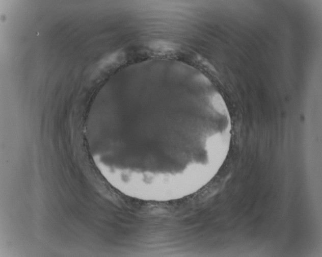 X0000084050913200703161853