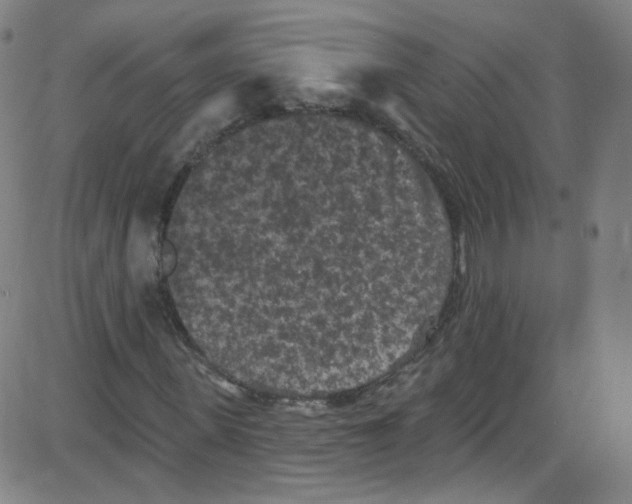 X0000084050915200703161853