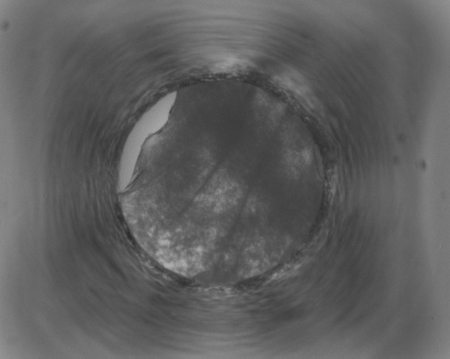 X0000084050916200703161853