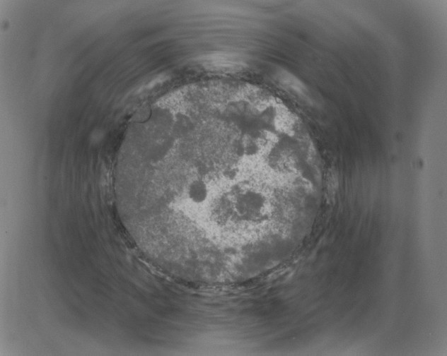 X0000084050917200703161853