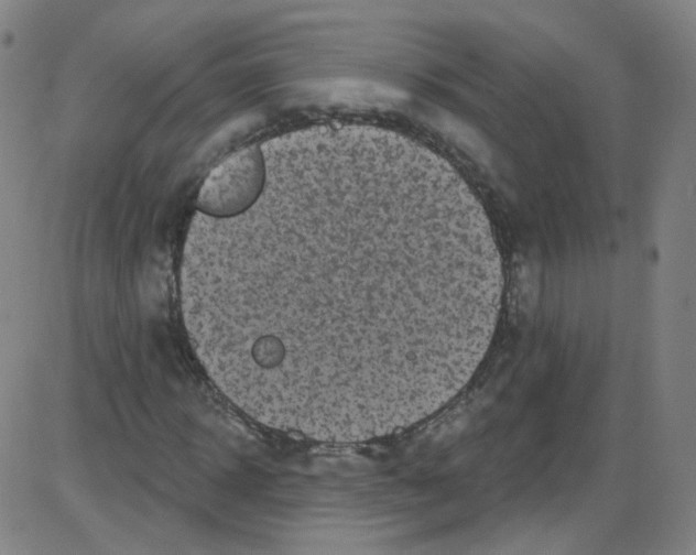 X0000084050918200703161853