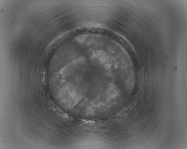 X0000084050919200703161853