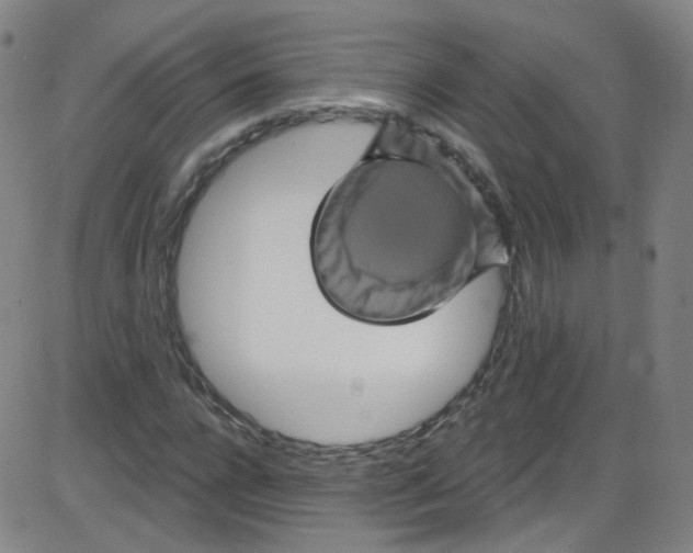 X0000084050920200703161853