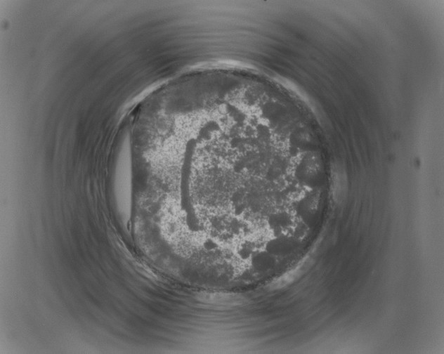 X0000084050921200703161853