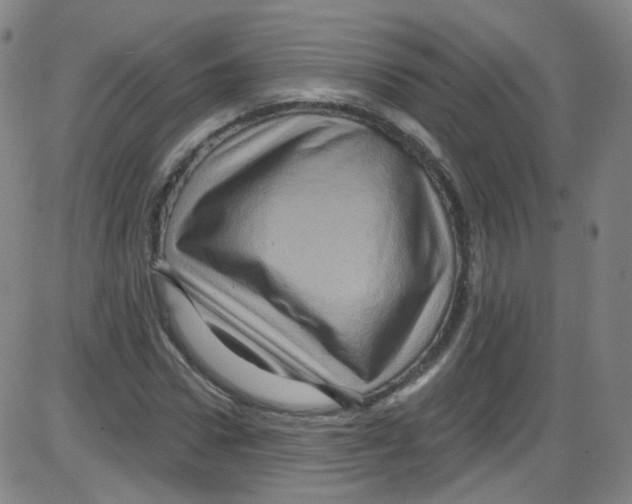 X0000084050922200703161853