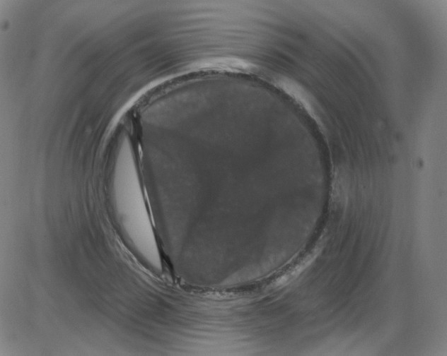 X0000084050923200703161853