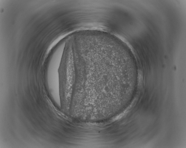 X0000084050925200703161853