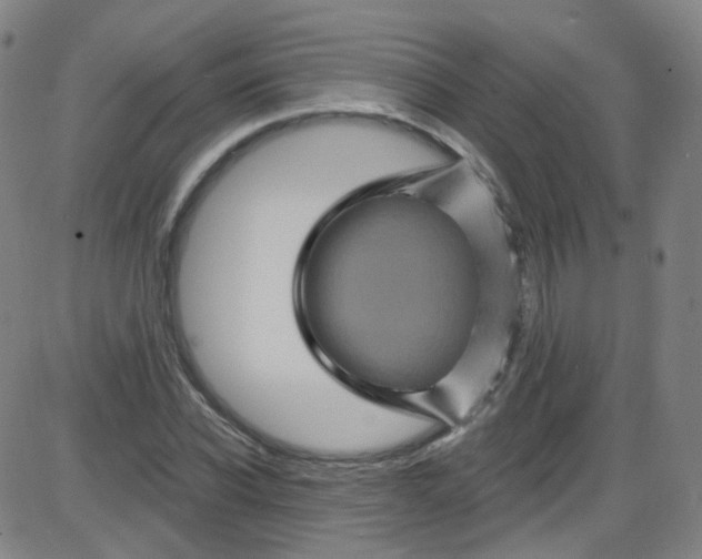 X0000084050926200703161853