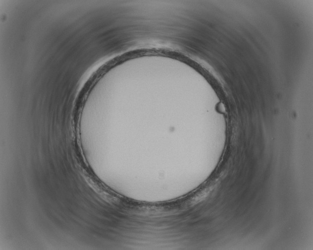 X0000084050927200703161853