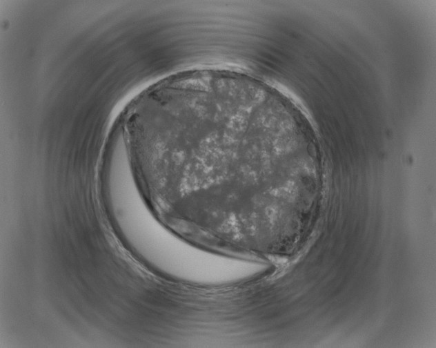 X0000084050928200703161853