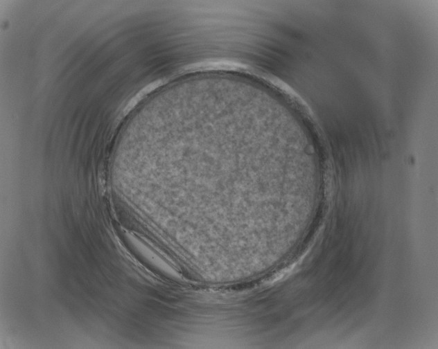 X0000084050929200703161853