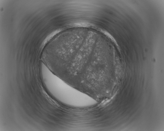 X0000084050930200703161853