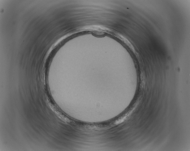 X0000084050931200703161853