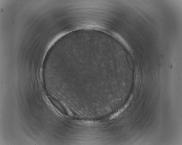 X0000084050932200703161853