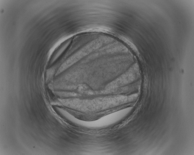 X0000084050936200703161853