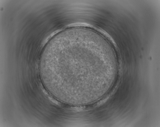 X0000084050937200703161853