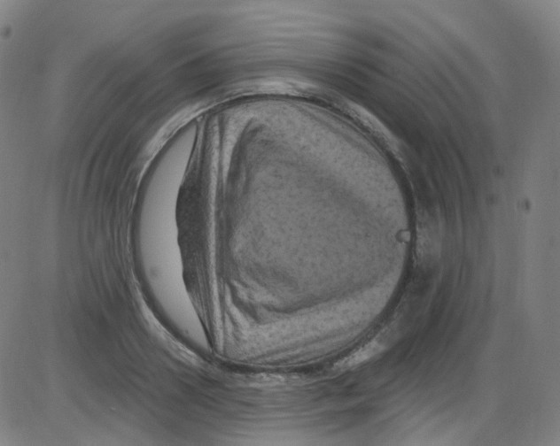 X0000084050938200703161853