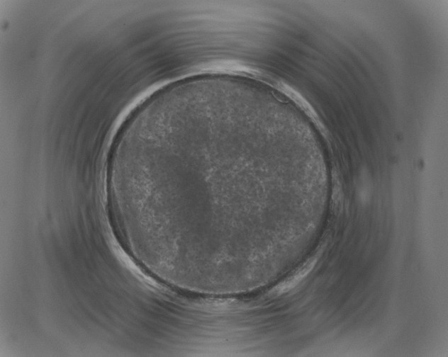 X0000084050939200703161853