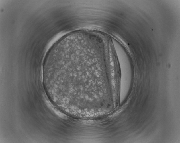 X0000084050940200703161853