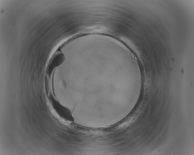 X0000084050941200703161853