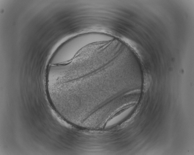 X0000084050942200703161853