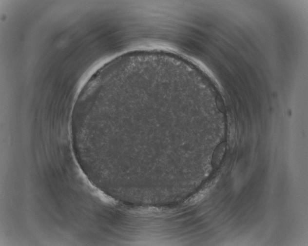 X0000084050943200703161853