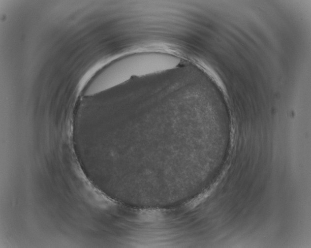 X0000084050944200703161853