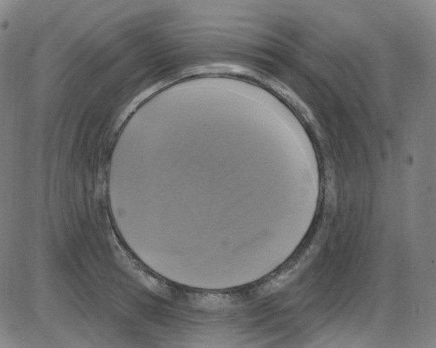 X0000084050945200703161853