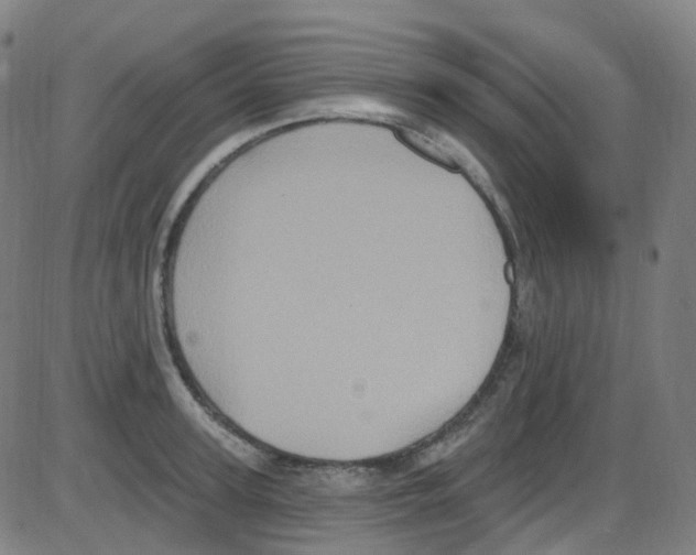 X0000084050947200703161853