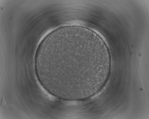 X0000084050949200703161853