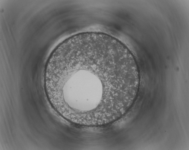 X0000084050950200703161853