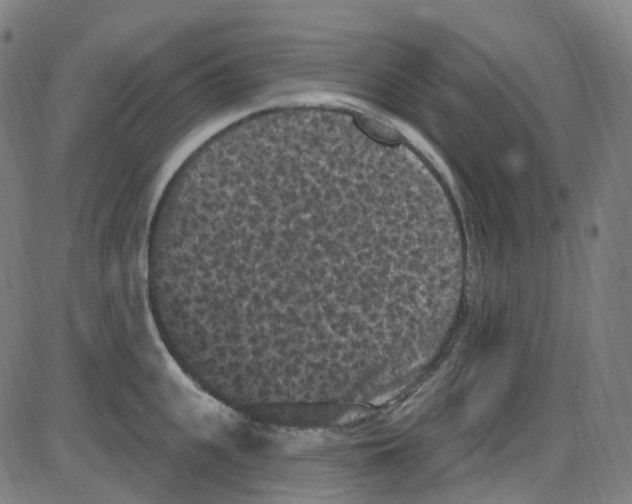 X0000084050951200703161853