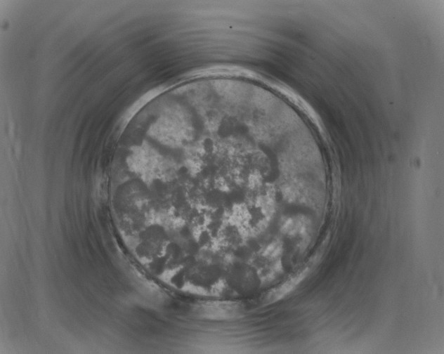 X0000084050953200703161853