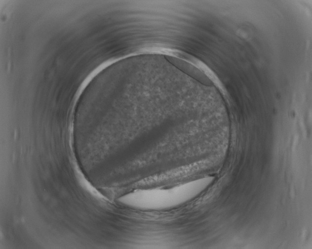 X0000084050955200703161853