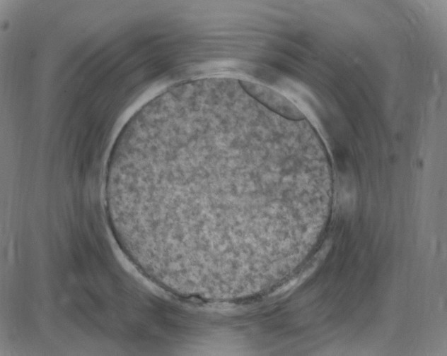 X0000084050957200703161853