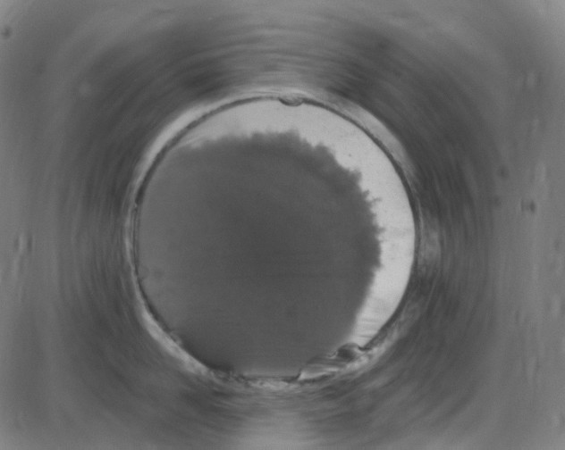 X0000084050958200703161853