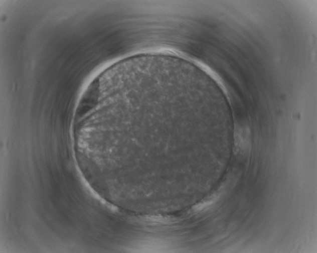 X0000084050959200703161853